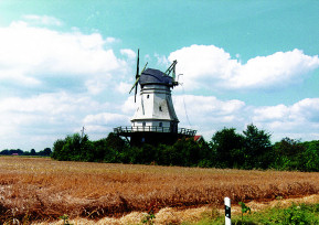 Die Windmühle in Wedehorn